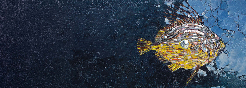 New Stamp Collection Celebrates Manx Underwater Wildlife