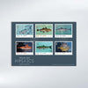Marine Mosaics First Day Cover