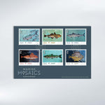 Marine Mosaics First Day Cover