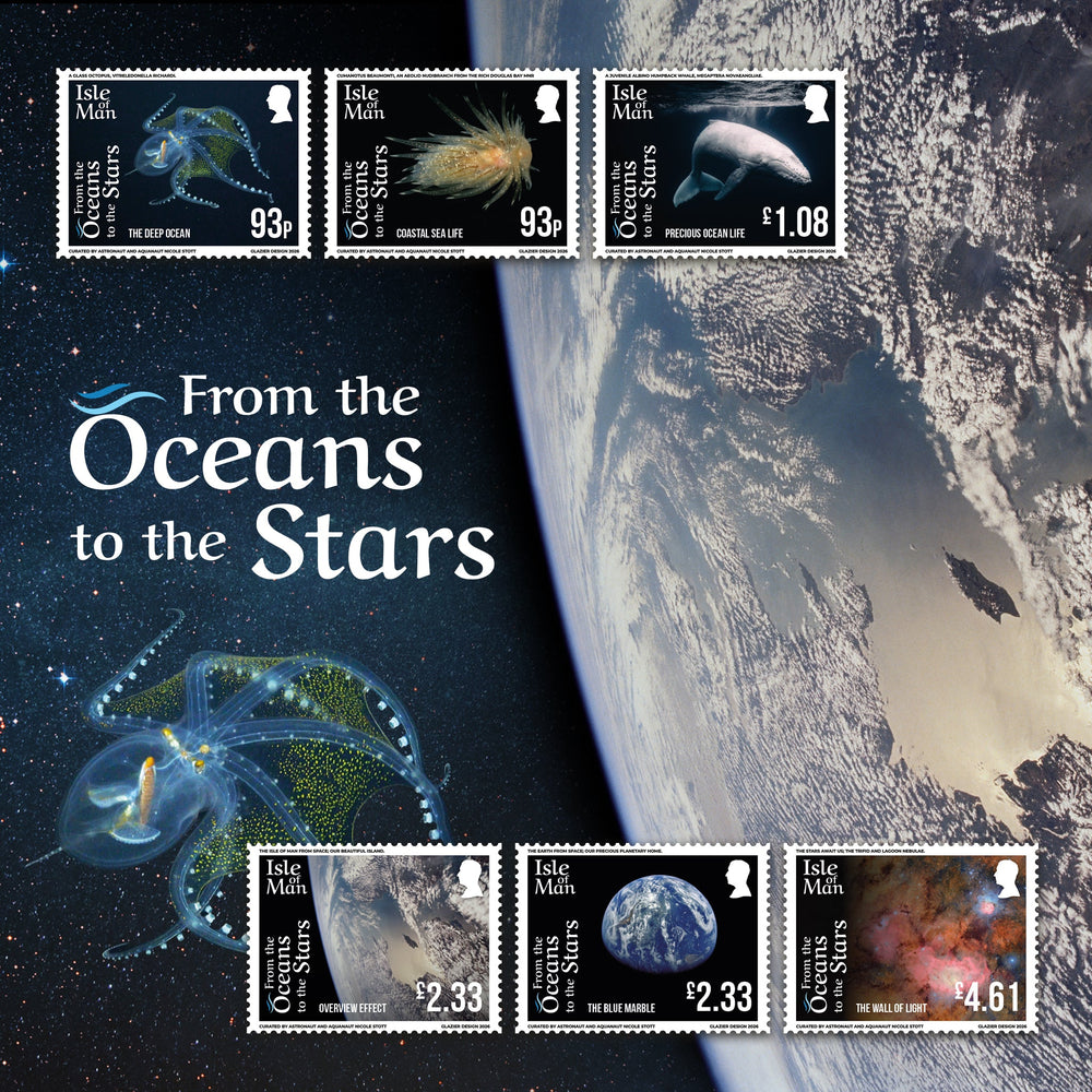 Image of the Year of the Snake Collection