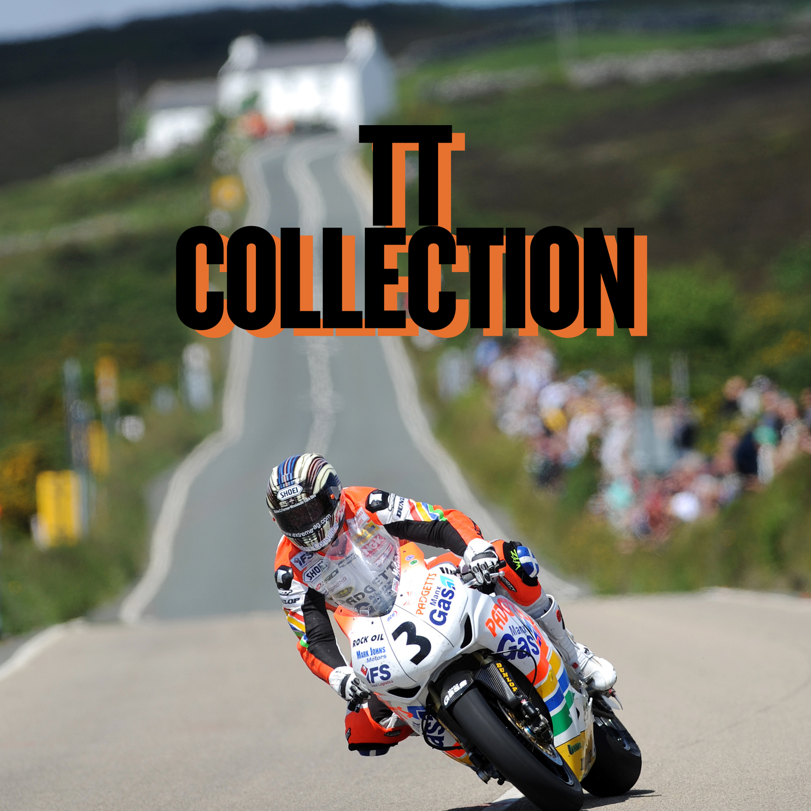 Image of the Year of the Snake Collection