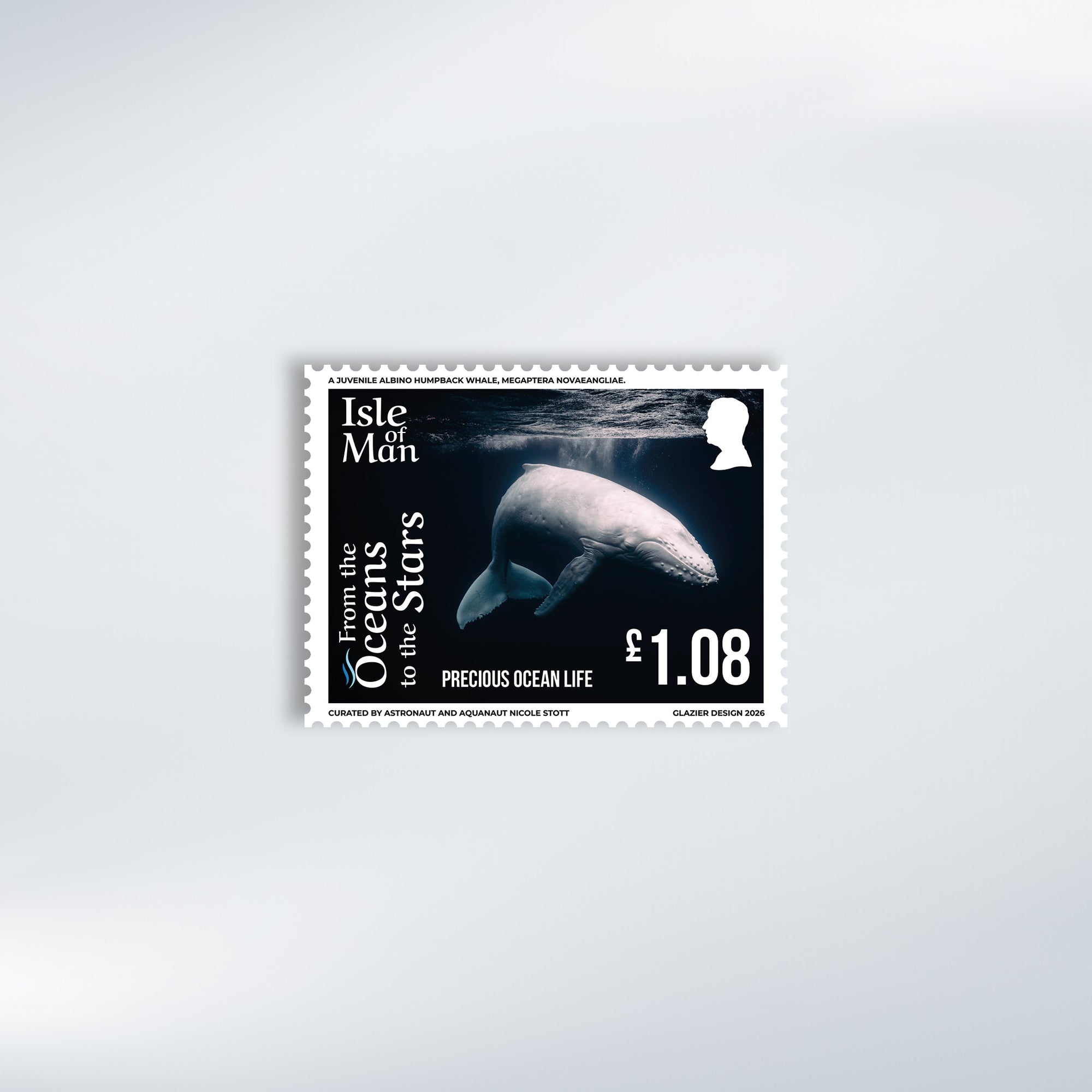 Nicole Stott - From the Oceans to the Stars Set