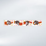 Chinese Year of the Horse Set